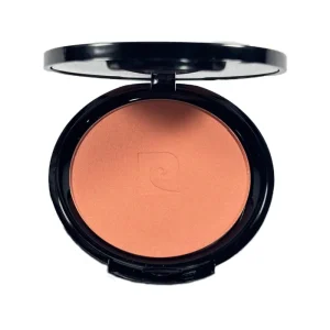 رژگونه پیرکاردین